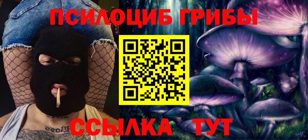 Галлюциногенные грибы мухоморы  Вход с VPN  наркотики  Новороссийск  Галлюциногенные грибы Cubensis 